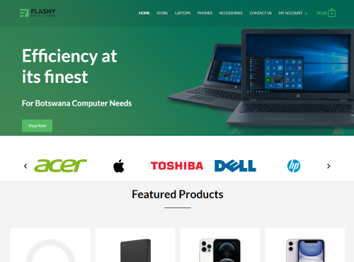 Website dev flashy tech store