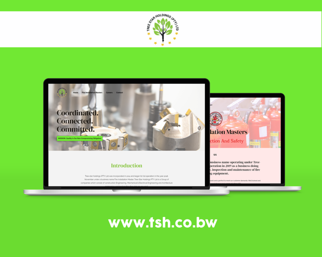 Web Design Botswana