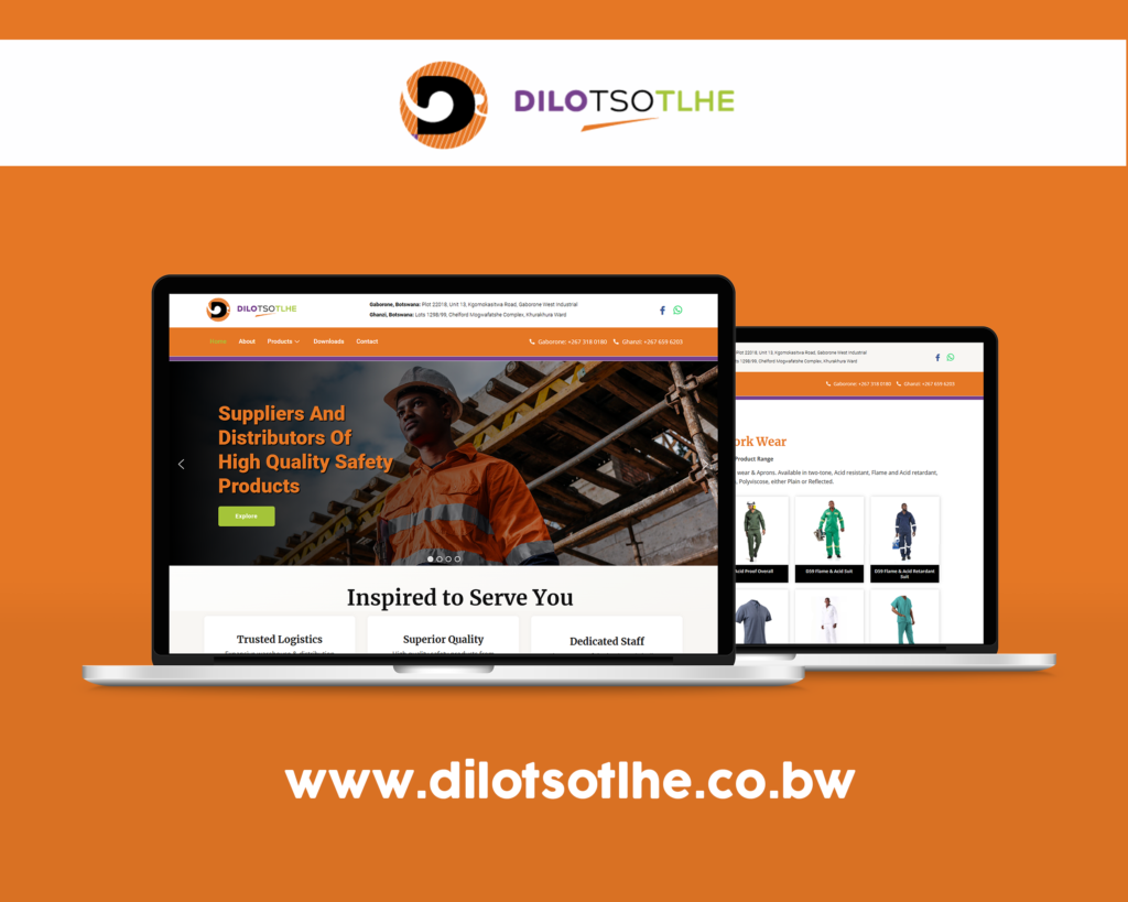 Web Design Botswana